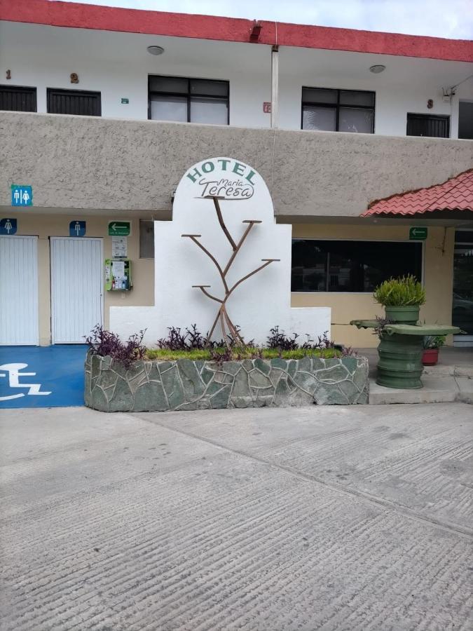 Hotel Maria Teresa Río Verde Exteriör bild